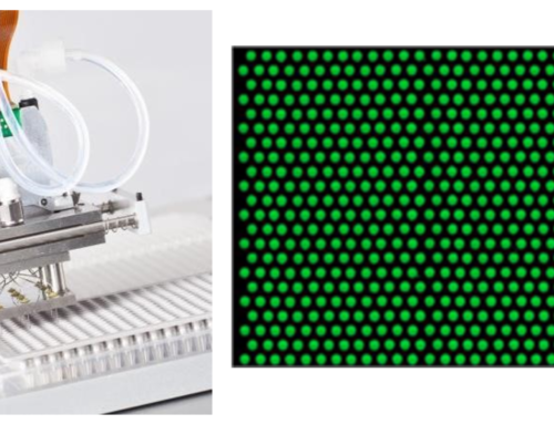 Modelling Modular Microfluidic Printing Systems for Biological Assay Applications